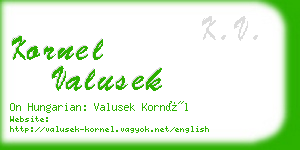 kornel valusek business card